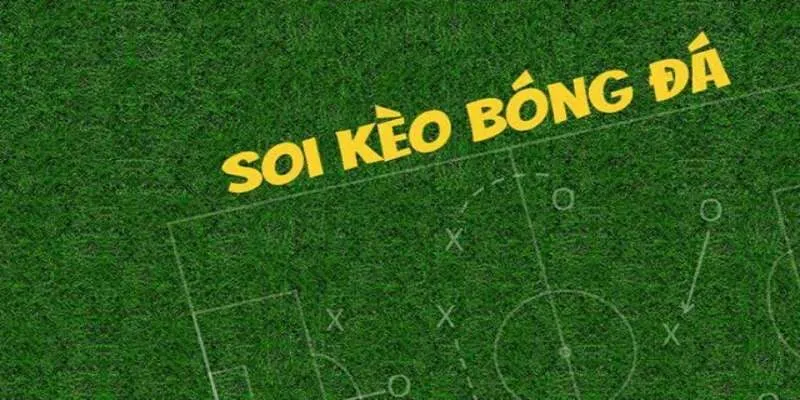 Soi kèo bóng đá Đức theo biến động tỷ lệ tại nhà cái